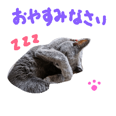 [LINEスタンプ] fu ＆ an  3