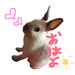 [LINEスタンプ] おもちくんだらけ 