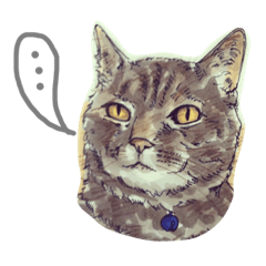 [LINEスタンプ] Wadyoodai