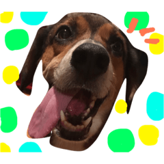 [LINEスタンプ] にこにこ そらゆき
