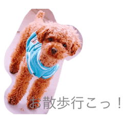 [LINEスタンプ] うちのそらたん