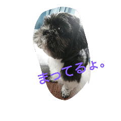 [LINEスタンプ] まあくんの毎日。