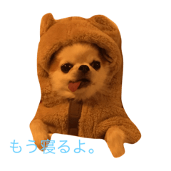 [LINEスタンプ] ちぇりーのスタンプです。