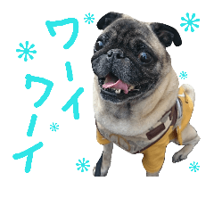 [LINEスタンプ] パグの銀さん 2