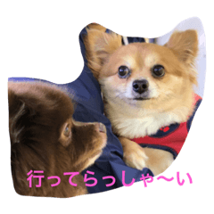 [LINEスタンプ] no dog no life3