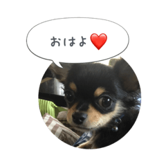[LINEスタンプ] きょうのレオンさん