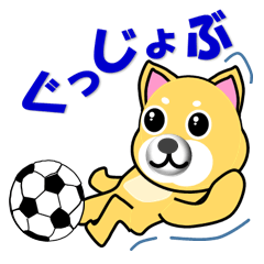[LINEスタンプ] 柴犬のサッカーの画像（メイン）