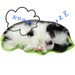 [LINEスタンプ] my pet (dog) 2
