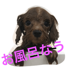 [LINEスタンプ] tora628