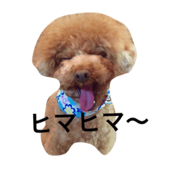 [LINEスタンプ] まめまめこ