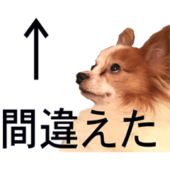 [LINEスタンプ] ペチカロン