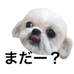 [LINEスタンプ] うりぼう2