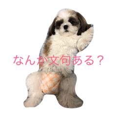 [LINEスタンプ] 鈴＆柚
