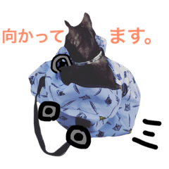 [LINEスタンプ] よく使う日常会話3