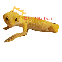 [LINEスタンプ] レオパの気持ち