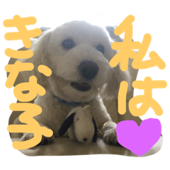 [LINEスタンプ] きな子のきもち