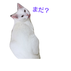 [LINEスタンプ] Leolove