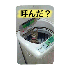 [LINEスタンプ] まるたまスタンプ