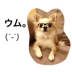 [LINEスタンプ] PETS！ ver.2