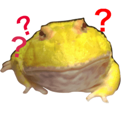[LINEスタンプ] frog fat