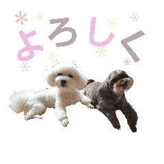 [LINEスタンプ] もかむく。