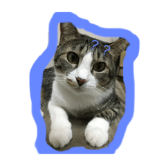 [LINEスタンプ] もなか1