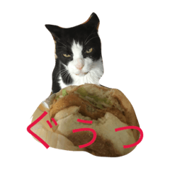 [LINEスタンプ] Languid cat now2