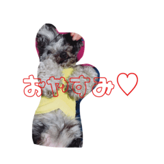 [LINEスタンプ] saapoon