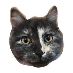 [LINEスタンプ] し ょ こ ら