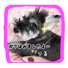 [LINEスタンプ] ゆりごろうさん動物王国