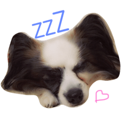 [LINEスタンプ] Papita