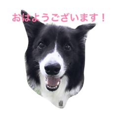 [LINEスタンプ] Puffo 's daily life
