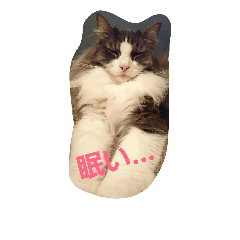 [LINEスタンプ] ひめと茂吉