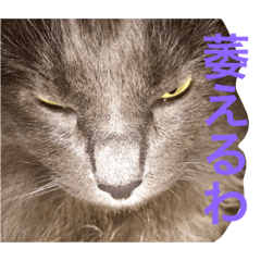 [LINEスタンプ] サシャ 第2弾