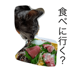 [LINEスタンプ] papapa_chan2