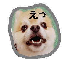 [LINEスタンプ] コタ梅