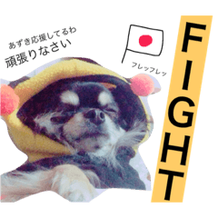 [LINEスタンプ] azukichan 2