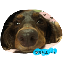 [LINEスタンプ] ミニチュアcoco