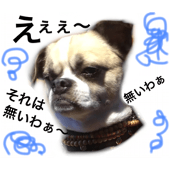 [LINEスタンプ] Mr. Cherio