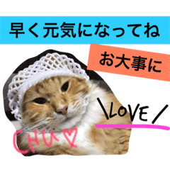 [LINEスタンプ] 西田家の猫たちbyAOIの画像（メイン）