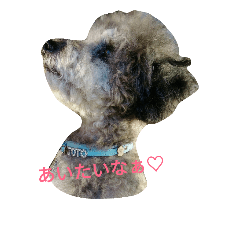 [LINEスタンプ] toypoodle toto smile 2