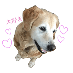 [LINEスタンプ] momo1223