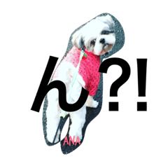 [LINEスタンプ] あなぽのきもち