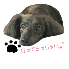 [LINEスタンプ] アオタとマム