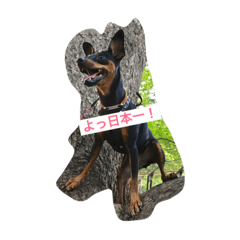[LINEスタンプ] momo happy 321