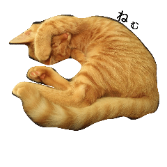 [LINEスタンプ] 茶トラ猫たたみ