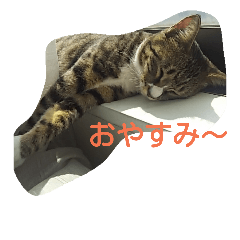 [LINEスタンプ] my mikuri