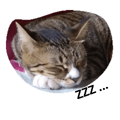 [LINEスタンプ] She is Mikuri
