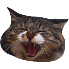 [LINEスタンプ] ことらとこまち