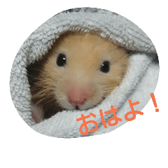 [LINEスタンプ] lovely Mel